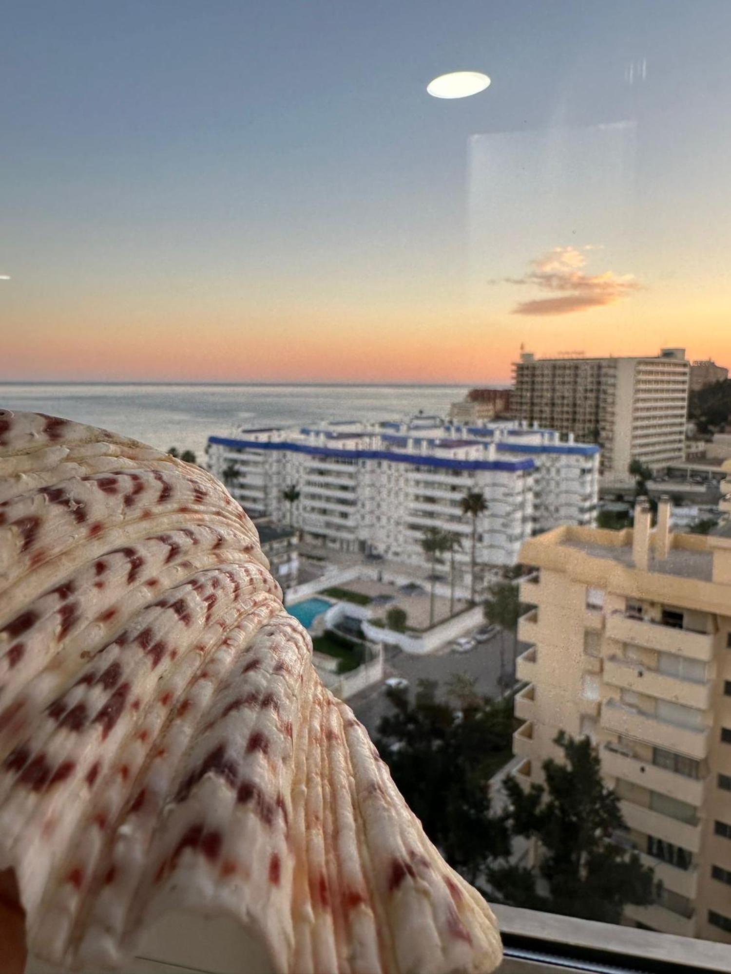 Estudio Ayni بينالماذينا المظهر الخارجي الصورة